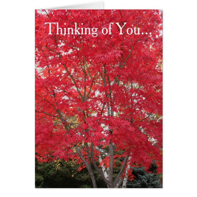 Thinking of You Red Fall Leaves Card (Front)