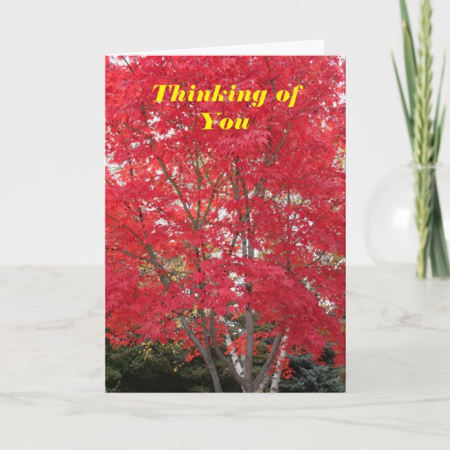 Thinking of You Red Fall Leaves Tree Card (Front)