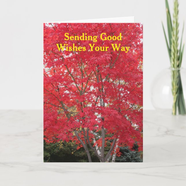 Thinking of You Red Fall Leaves Tree Card (Front)
