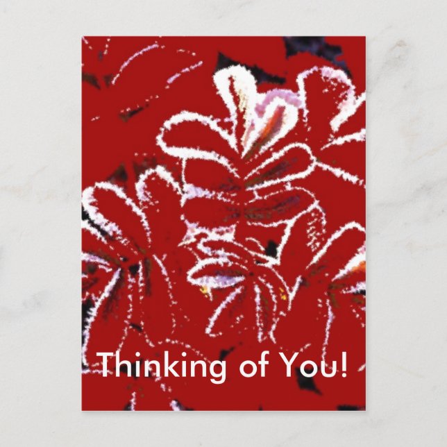 Thinking of You ~ Red Leaves in Winter Postcard (Front)