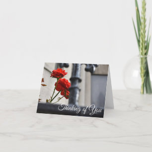 Thinking of You Red Rose Flower Gate Photography Card