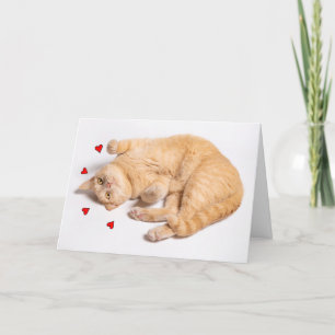 Thinking of You Romance Cute Orange Tabby Cat Holiday Card