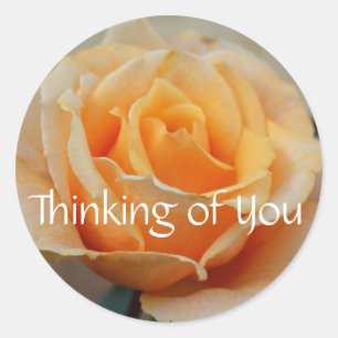 Thinking of you, rose in peach classic round sticker