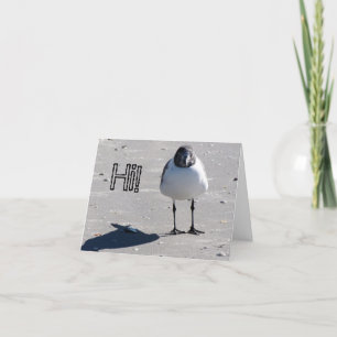 Thinking of You - sea bird Card