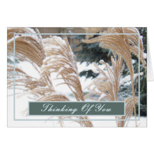 THINKING OF YOU/SNOW-COVERED ORNAMENTAL GRASS