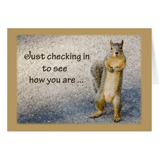 Thinking of You, Squirrel Card
