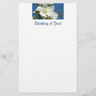 Thinking of You! Stationery Cherry Blossom Flowers