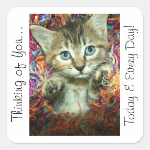 Thinking of You Sticker Kitten