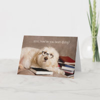 THINKING OF YOU - Studious Dog in Reading Glasses