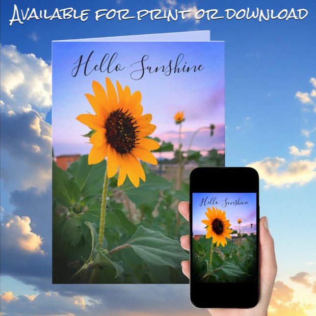 Thinking of You Sunflower at Sunset Photo Custom Card (Greeting card print and download cover view)