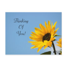 Thinking of You Sunflower Card