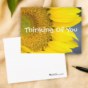 Thinking Of You Sunflower Close-Up Photo Template Postcard