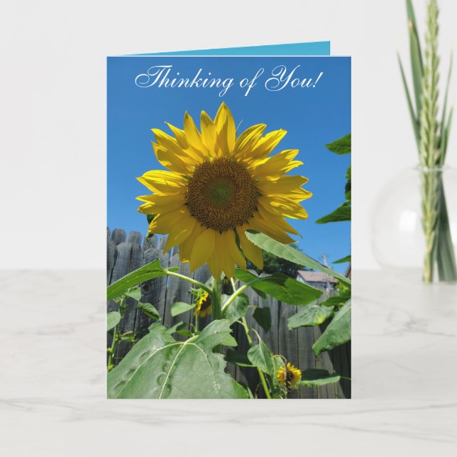 Thinking of You Sunflower Photography Card (Front)