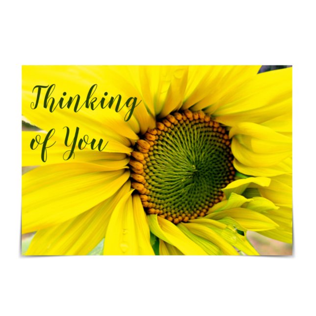 "Thinking of You" Sunny Thoughts Sunflower Card (Creator Uploaded)