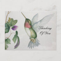 Thinking Of You Sweet Hummingbird Garden