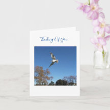 Thinking Of You Sympathy Card