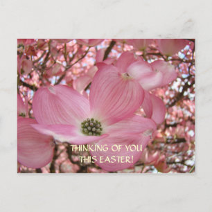 THINKING of You this Easter! Post Card Pink Dogwoo