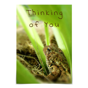 "Thinking of You" Thoughtful Toad Card