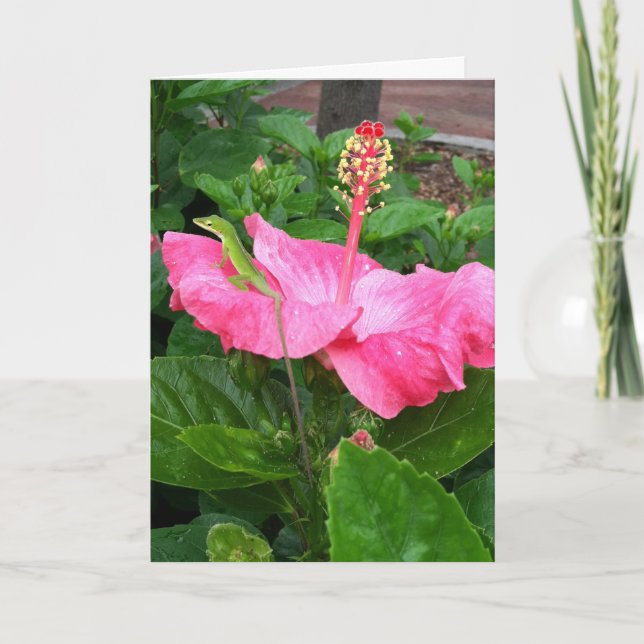 Thinking of You Tropical Pink Hibiscus Lizard Card (Front)