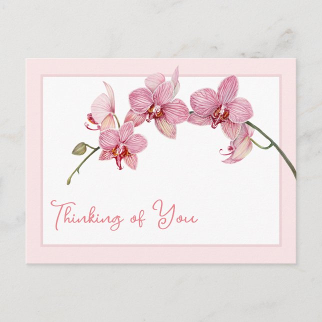 Thinking of You Watercolor Pink Moth Orchids Holiday Postcard (Front)