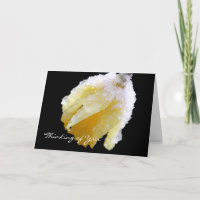 Thinking of You Winter Daffodil Greeting Card