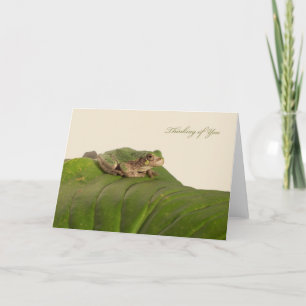 Thinking of You with Missouri Tree Frog Card