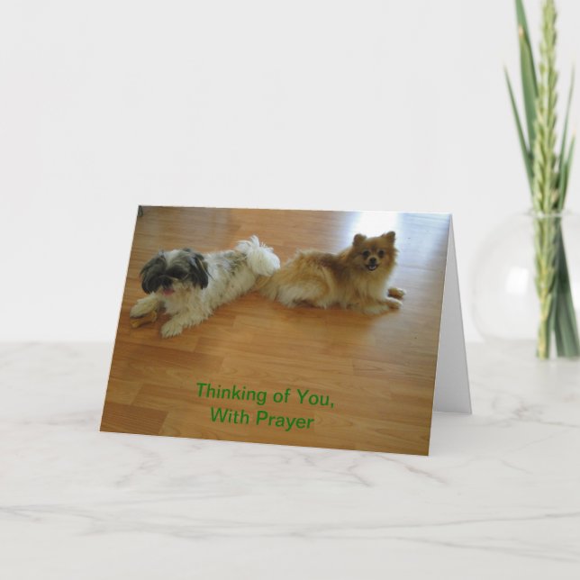 Thinking of You With Prayer, Dogs Card (Front)