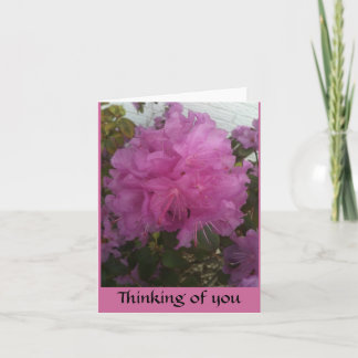 thinking of you with single pink blossom photo card