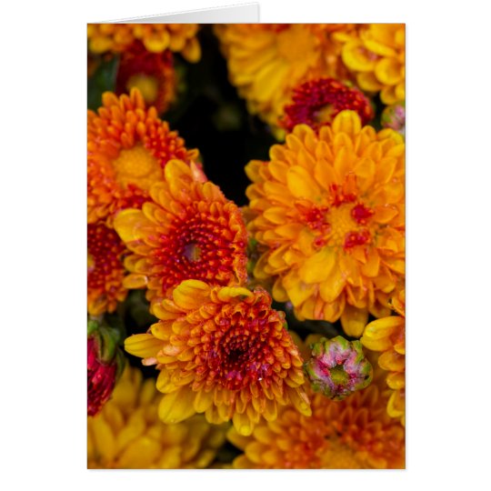 Thinking of you yellow with orange mum card