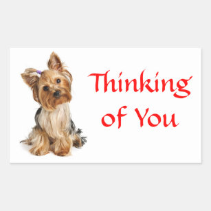 Thinking of You Yorkshire Terrier Dog   Stickers