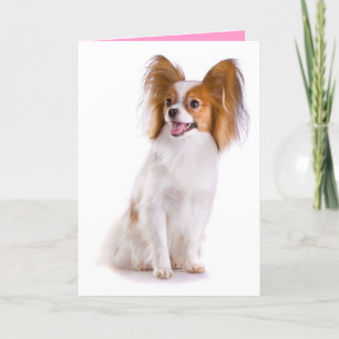Thinking or You Papillion Puppy Dog Greeting Card
