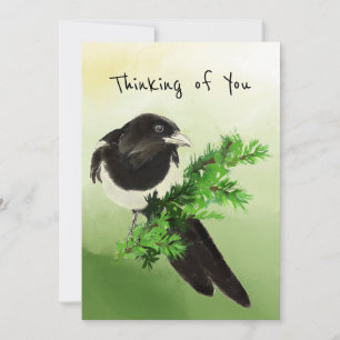 Thinking You Curious Magpie Garden Bird Wildlife Card