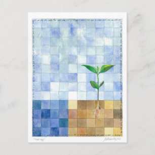 Third Day (7 days of creation) Postcard