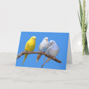 Third Wheel Card