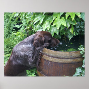 Thirsty after work poster