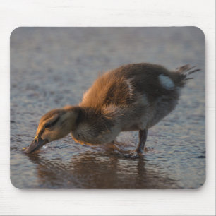 Thirsty Baby Mouse Pad