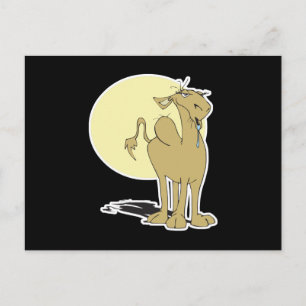 thirsty camel postcard