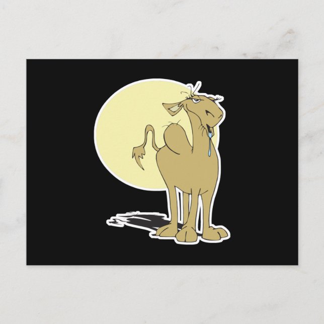 thirsty camel postcard (Front)