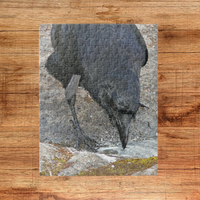 Thirsty Crow Taking a Drink Jigsaw Puzzle (In Situ)