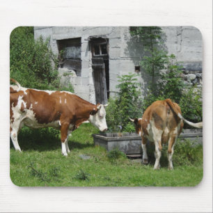 Thirsty Fleckvieh Mouse Pad
