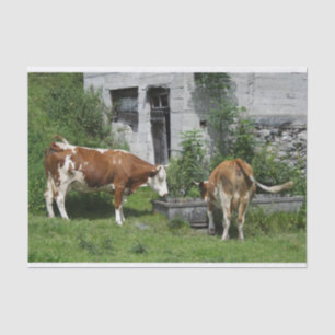 Thirsty Fleckvieh Tissue Paper