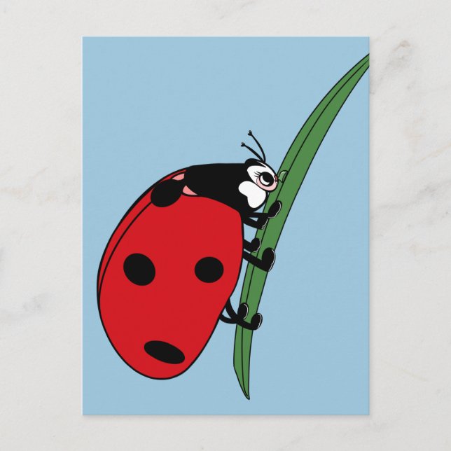 Thirsty Ladybug  Postcard (Front)