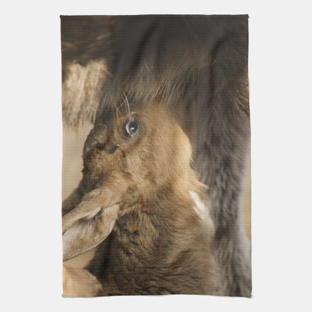 Thirsty Moose Calf Kitchen Towel (Vertical)