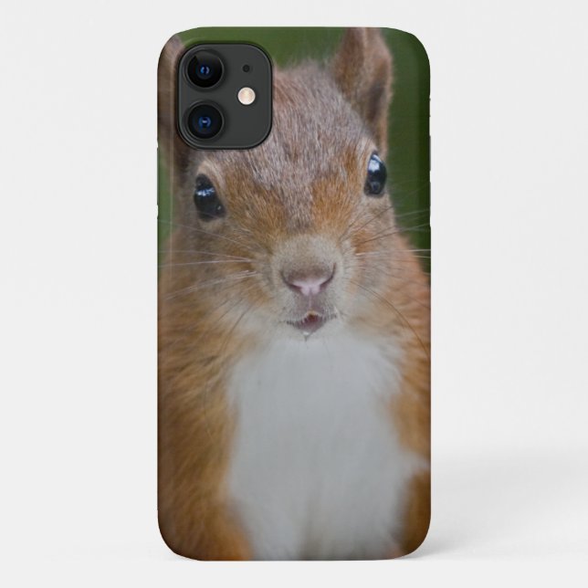Thirsty Squirrel iPhone 11 Case (Back)
