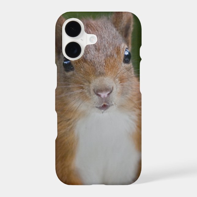 Thirsty Squirrel iPhone 11 Case (Back)