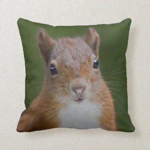 Thirsty Squirrel Pillow