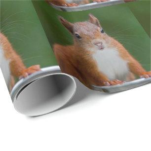Thirsty Squirrel Wrapping Paper