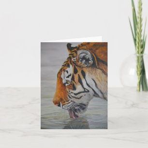 "Thirsty" Tiger Art Reproduction Note Card