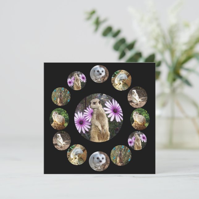 Thirteen Meerkats Surprise, Flat Card (Standing Front)