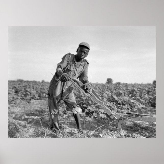 Thirteen-year old Ploughing a Field in Georgia Poster (Front)